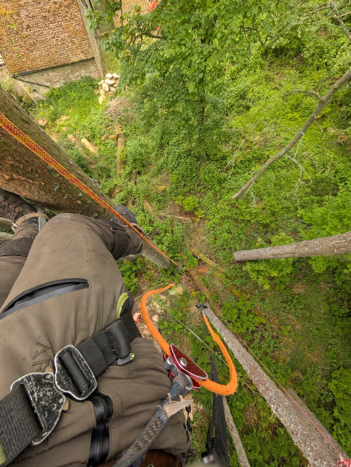 Rigging rope set up looking down to the timber below