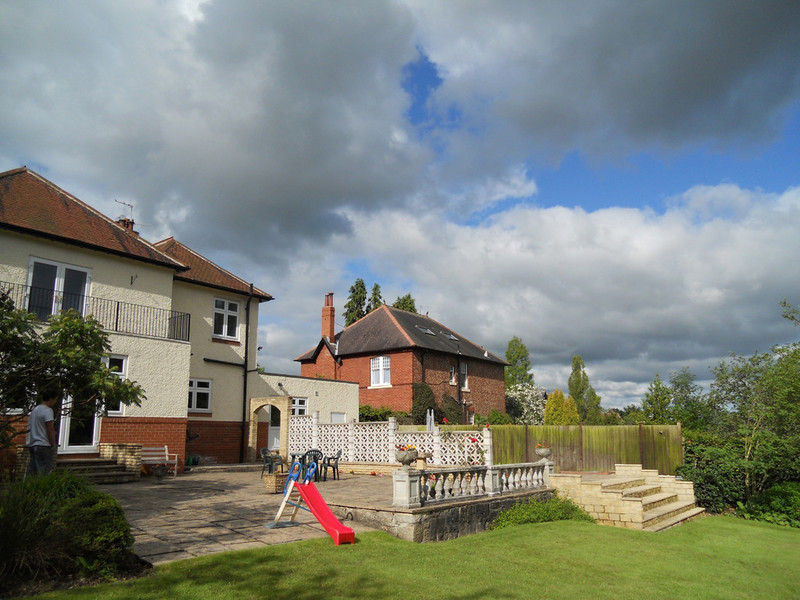 Conifer removal step 4