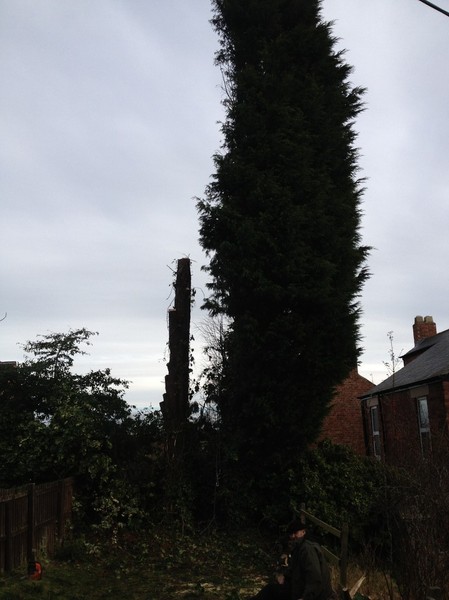 Transformation step 3