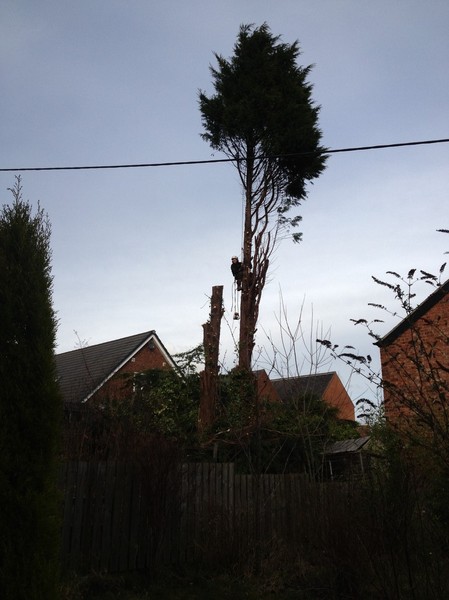 Transformation step 4