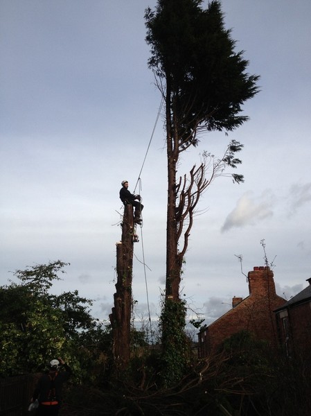 Transformation step 5