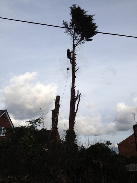 Transformation step 6