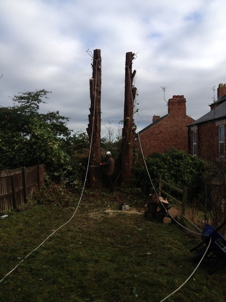 Transformation step 7