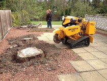 Stump grinding