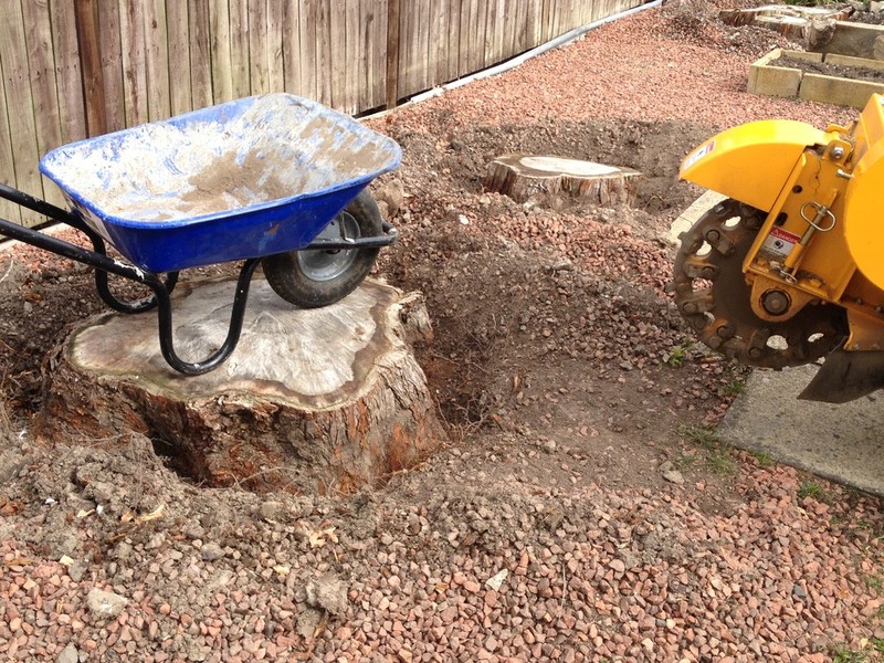 Stump grinding step 1