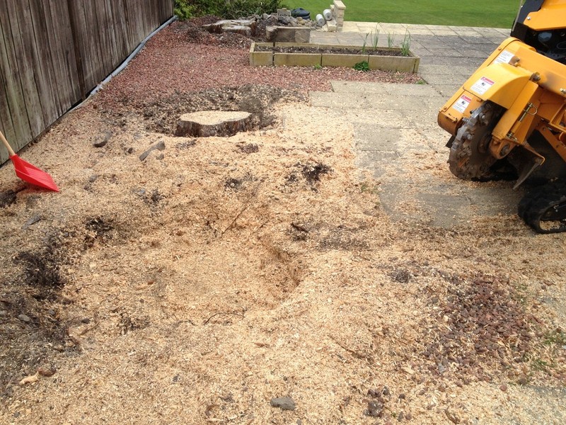 Stump grinding step 2