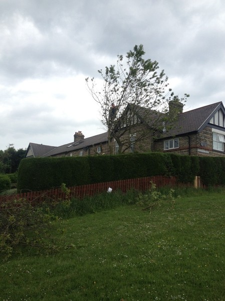 Cherry removal step 1