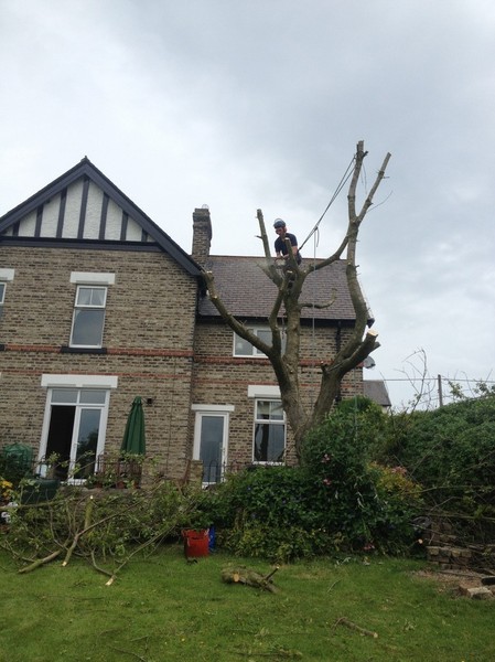 Cherry removal step 3