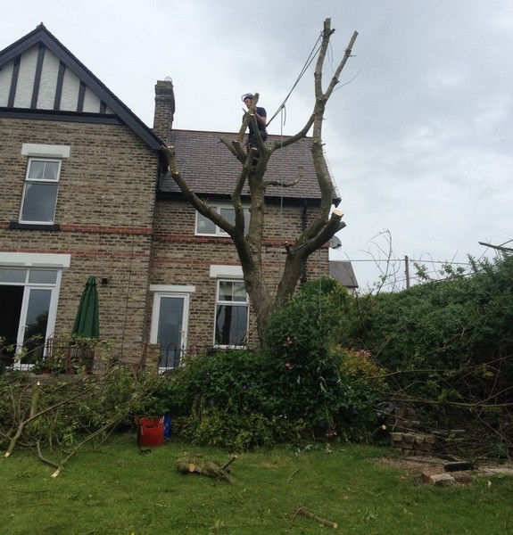 Cherry removal step 4