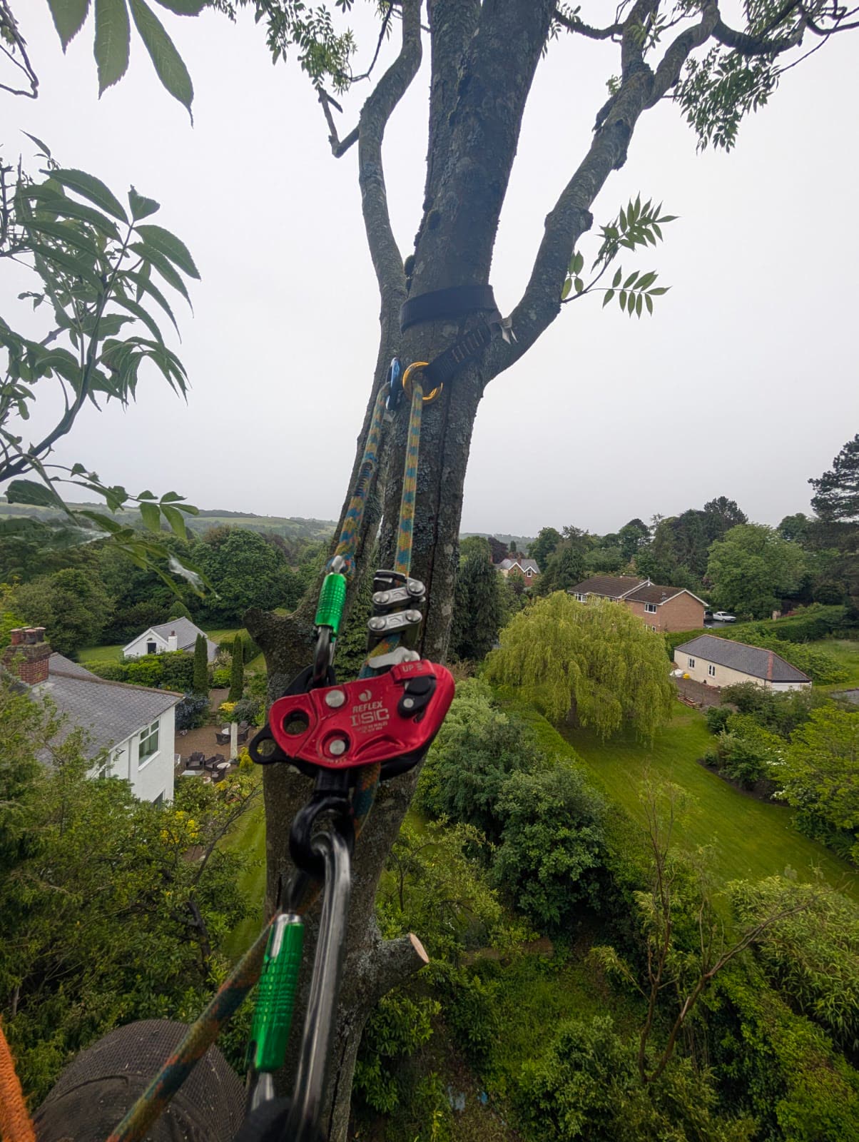 Rigging pulley and friction saver rigged in an ash fork